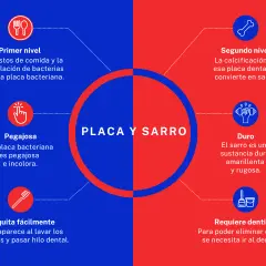 Placa bacteriana pegajosa que, si no se eliminan los restos de comida y se dejan los dientes sin lavar, se calcifica y se convierte en sarro duro.