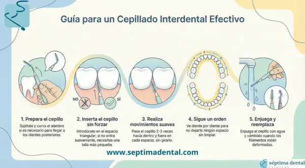Guía para un cepillado interdental efectivo: cómo usar el cepillo interdental antes o después del cepillado.