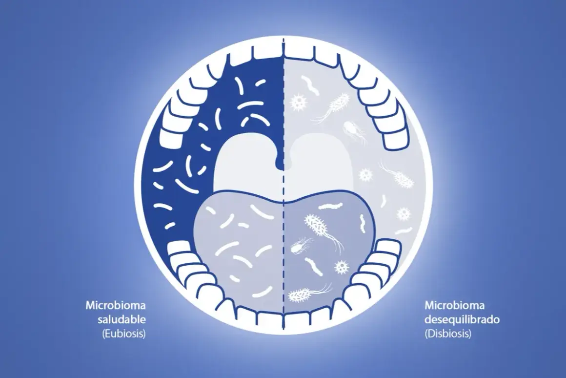 Boca dividida: izquierda, microbioma saludable con bacterias beneficiosas; derecha, microbioma desequilibrado. ¿Cuánto tiempo usar clorhexidina?