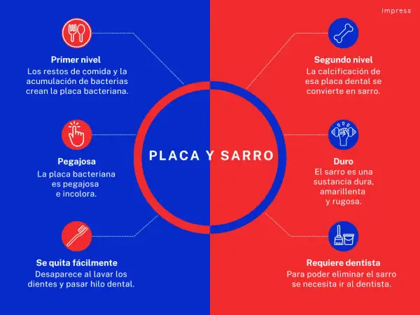 Placa bacteriana pegajosa que, si no se eliminan los restos de comida y se dejan los dientes sin lavar, se calcifica y se convierte en sarro duro.